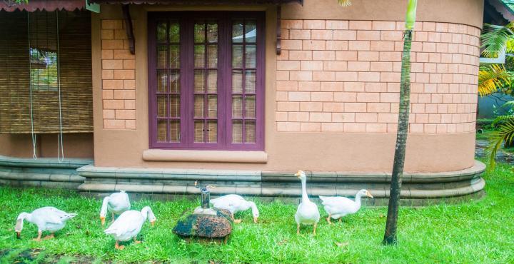 Pagoda Resorts Alappuzha Esterno foto